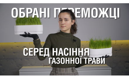 Експеримент з насінням газонної трави