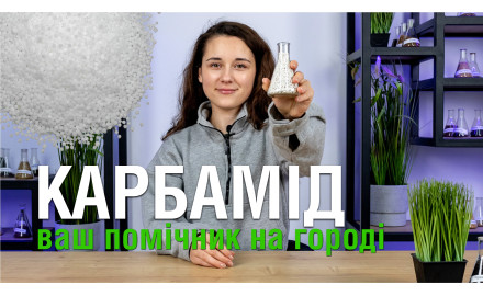 Карбамід для різних культур: коли і як використовувати