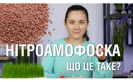 Нітроамофоска: склад, способи застосування та комбінації