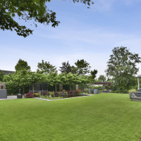 Вівсяниця червона